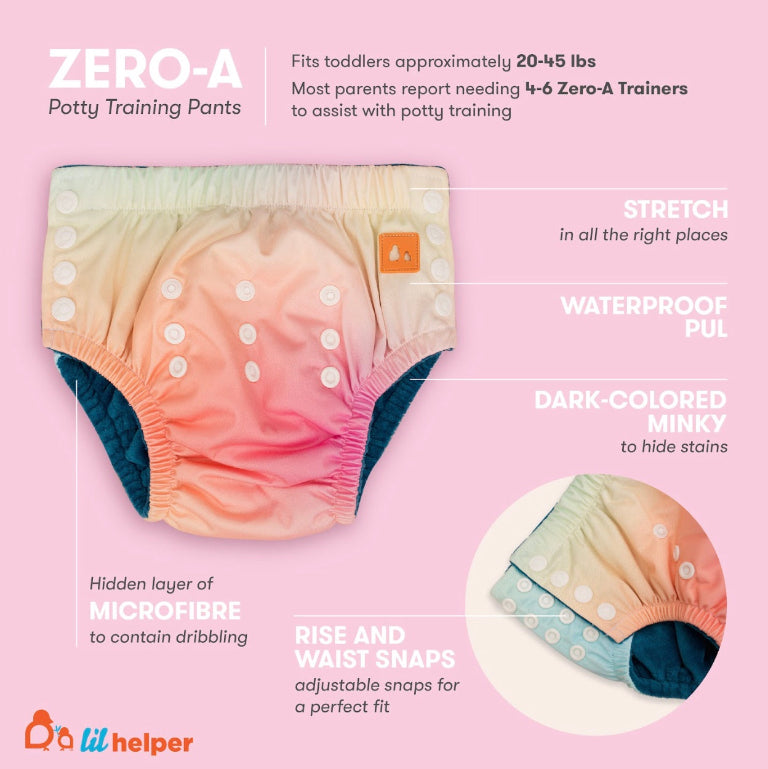 Potty Training Infographic